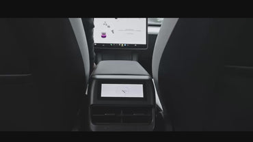 Model 3 2023 Rear Display Panel